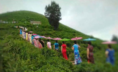 玉環(huán)火山茶基地舉辦首屆旗袍走秀活動(dòng)＂當(dāng)旗袍遇見(jiàn)火山茶的美麗邂逅＂。